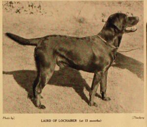 Laird of Lochaber