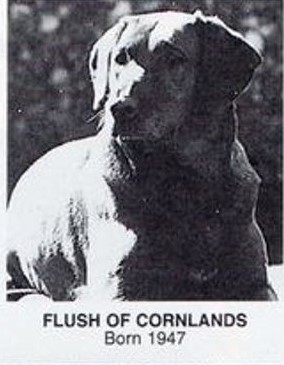 Flush of Cornlands