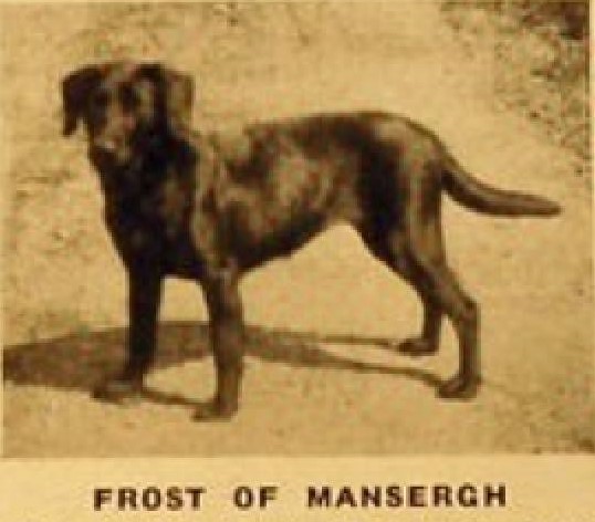 Frost of Mansergh